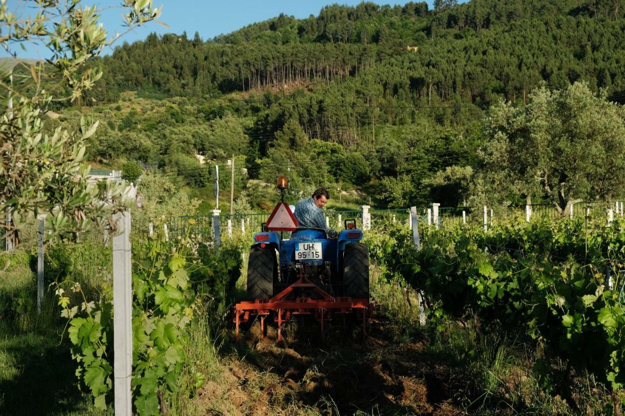 Quinta De Vodra Villa Seia Luaran gambar