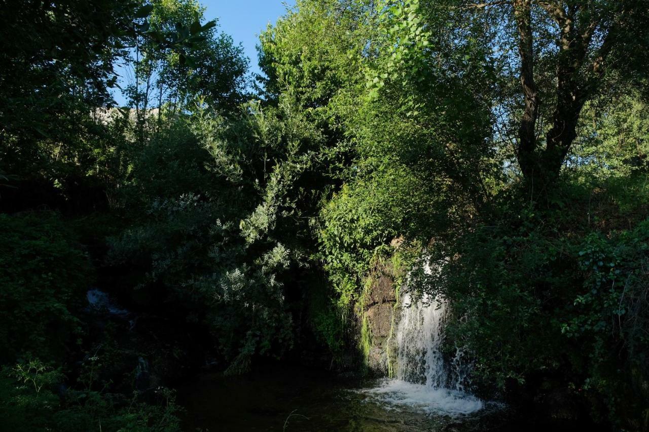 Quinta De Vodra Villa Seia Luaran gambar